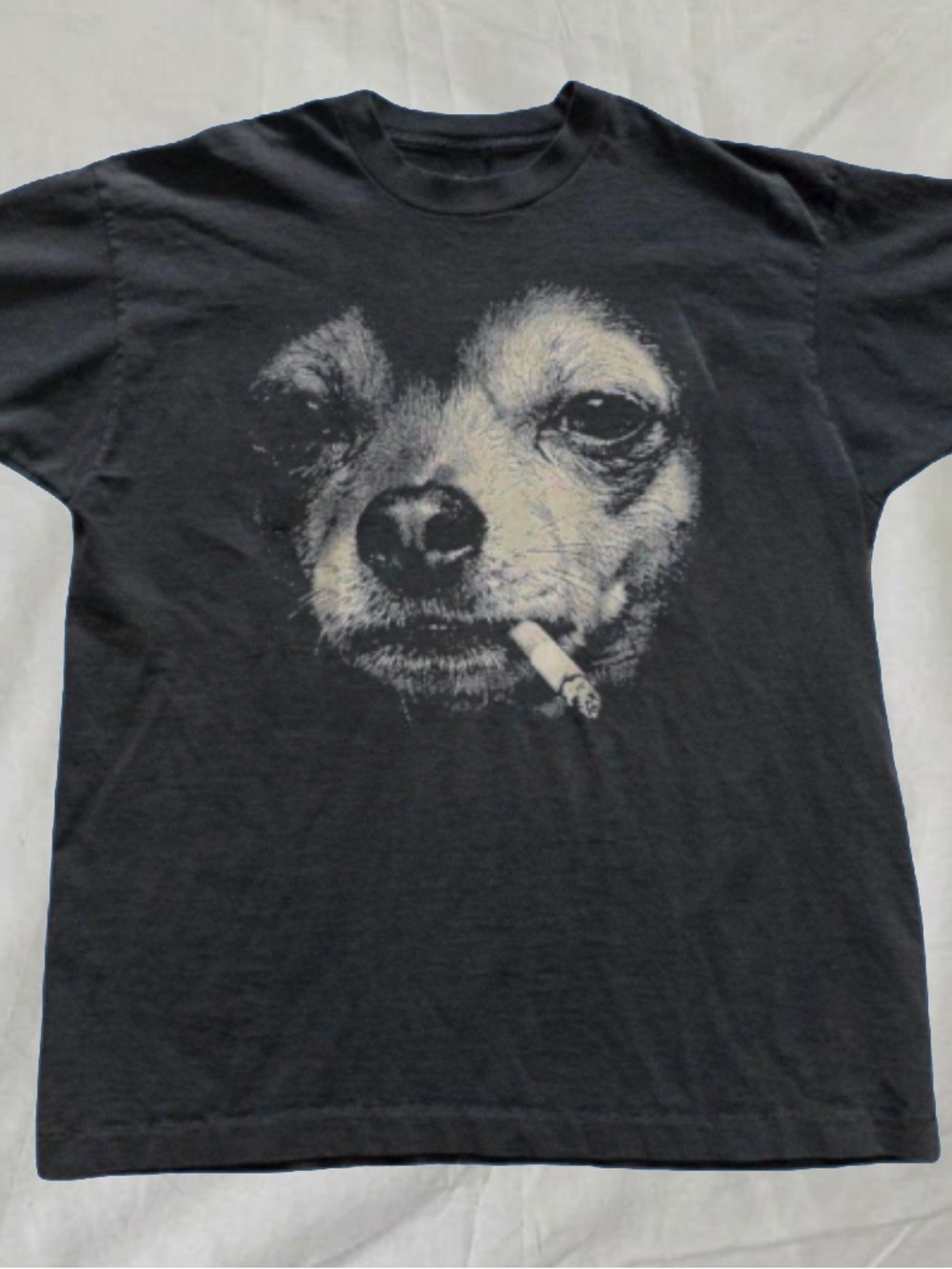 Gildan Black Tee with Chihuahua Graphic